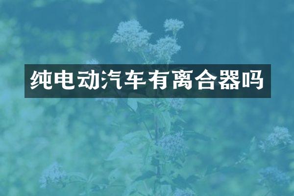 纯电动汽车有离合器吗