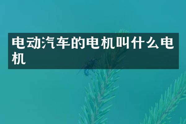 电动汽车的电机叫什么电机