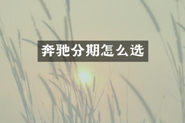 奔驰分期怎么选