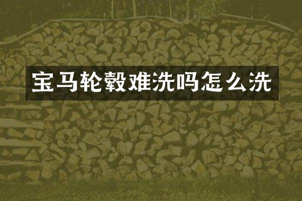 宝马轮毂难洗吗怎么洗