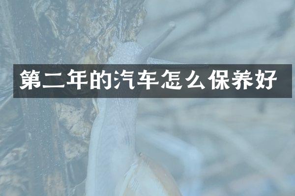 第二年的汽车怎么保养好