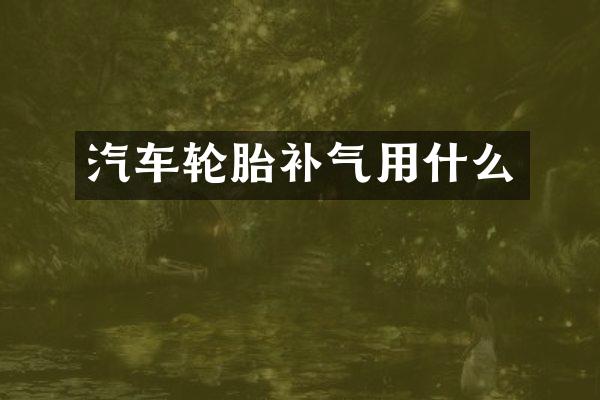 汽车轮胎补气用什么
