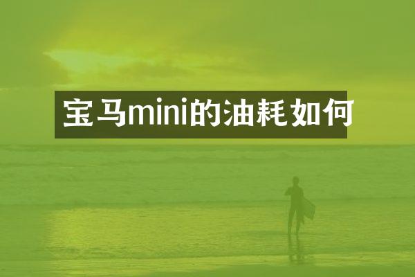 宝马mini的油耗如何