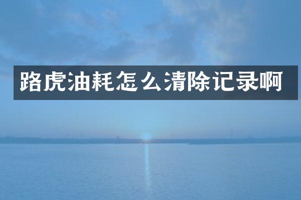 路虎油耗怎么清除记录啊