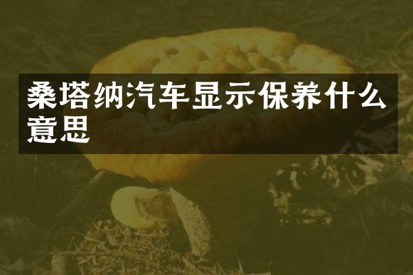 桑塔纳汽车显示保养什么意思