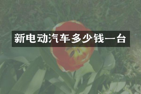 新电动汽车多少钱一台