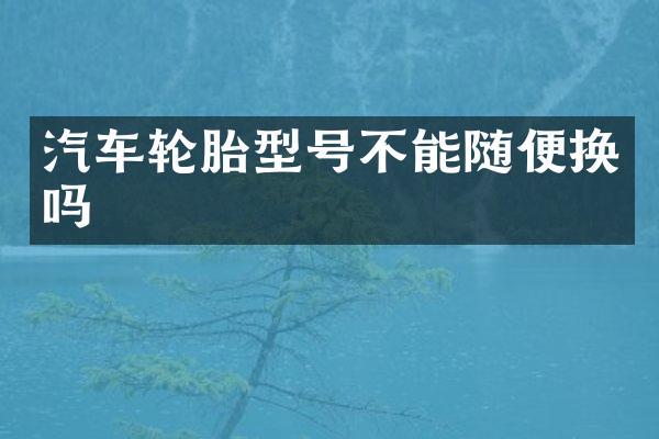 汽车轮胎型号不能随便换吗