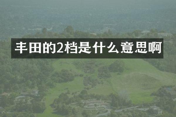 丰田的2档是什么意思啊