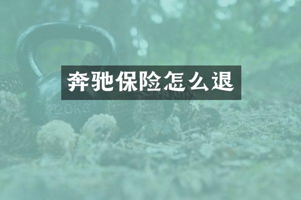 奔驰保险怎么退