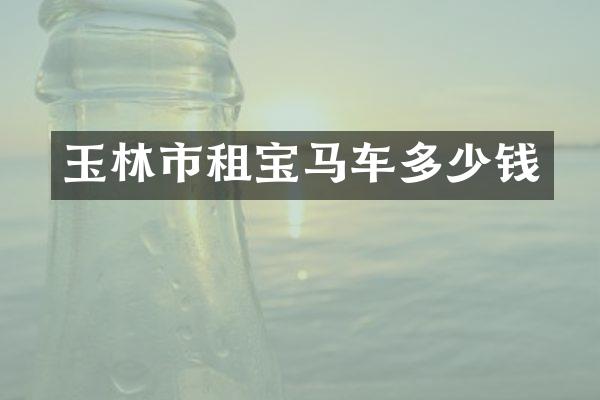 玉林市租宝马车多少钱