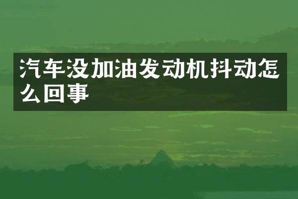 汽车没加油发动机抖动怎么回事