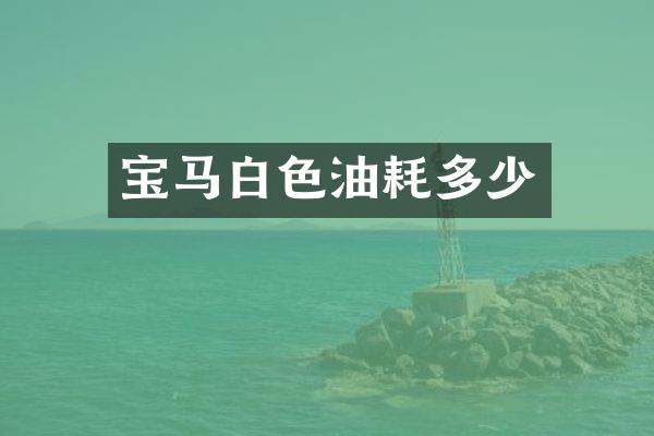 宝马白色油耗多少