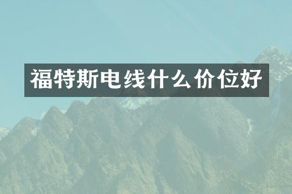 福特斯电线什么价位好