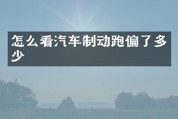 怎么看汽车制动跑偏了多少