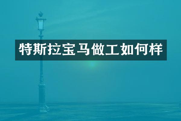 特斯拉宝马做工如何样