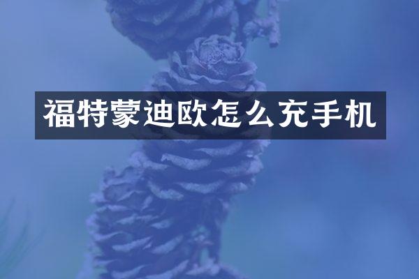 福特蒙迪欧怎么充手机