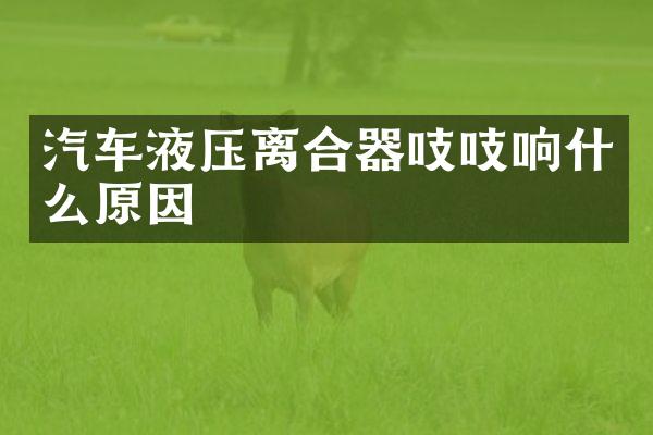 汽车液压离合器吱吱响什么原因