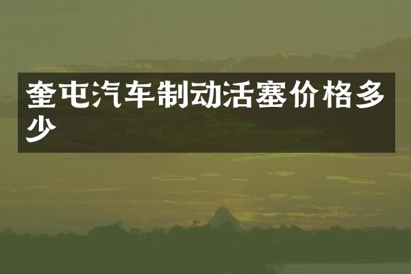 奎屯汽车制动活塞价格多少