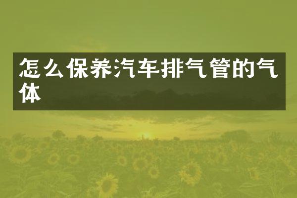怎么保养汽车排气管的气体