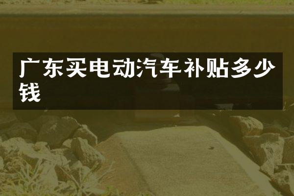 广东买电动汽车补贴多少钱
