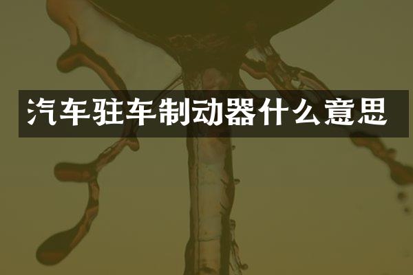 汽车驻车制动器什么意思