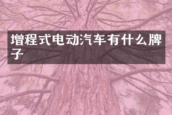 增程式电动汽车有什么牌子