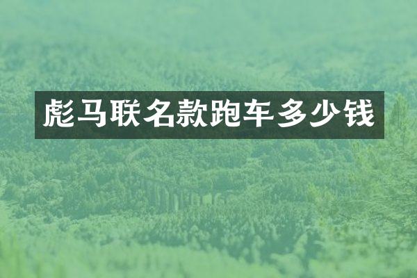 联名款跑车多少钱