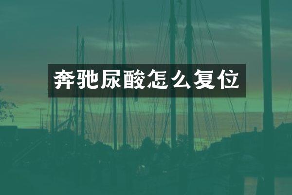 奔驰尿酸怎么复位