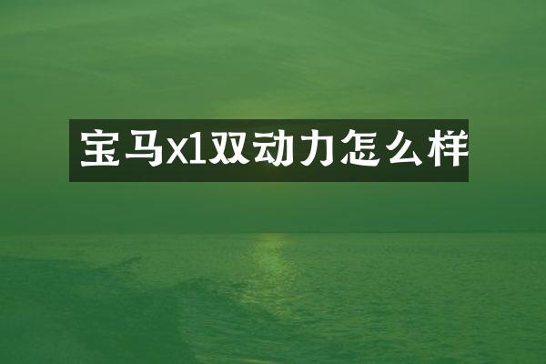 宝马x1双动力怎么样