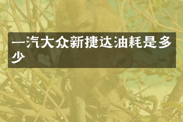 一汽大众新捷达油耗是多少