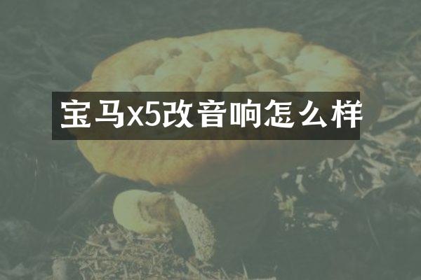 宝马x5改音响怎么样