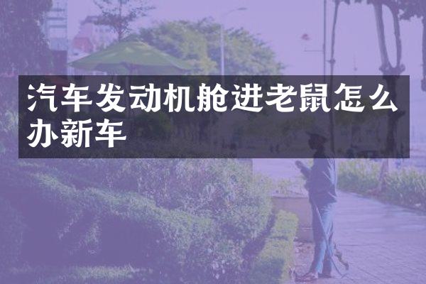 汽车发动机舱进老鼠怎么办新车
