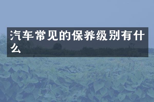 汽车常见的保养级别有什么