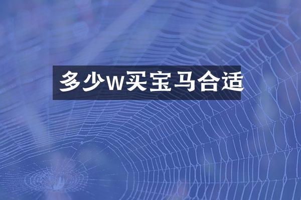 多少w买宝马合适