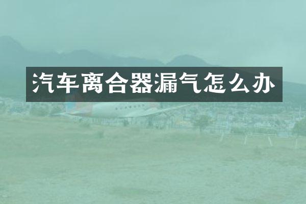 汽车离合器漏气怎么办