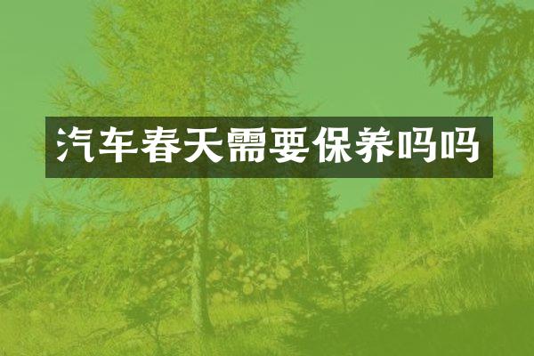 汽车春天需要保养吗吗