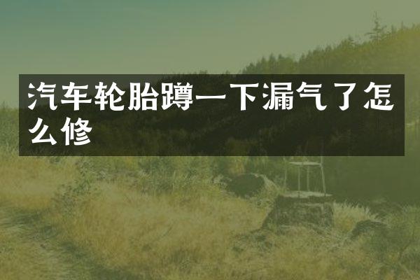 汽车轮胎蹲一下漏气了怎么修