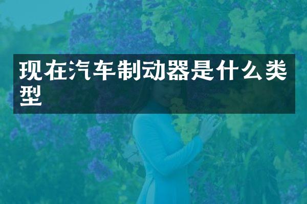现在汽车制动器是什么类型