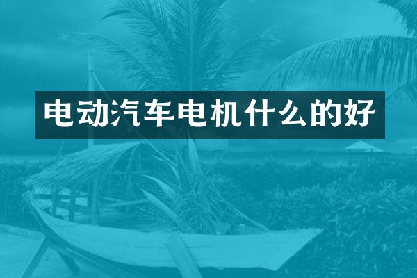 电动汽车电机什么的好