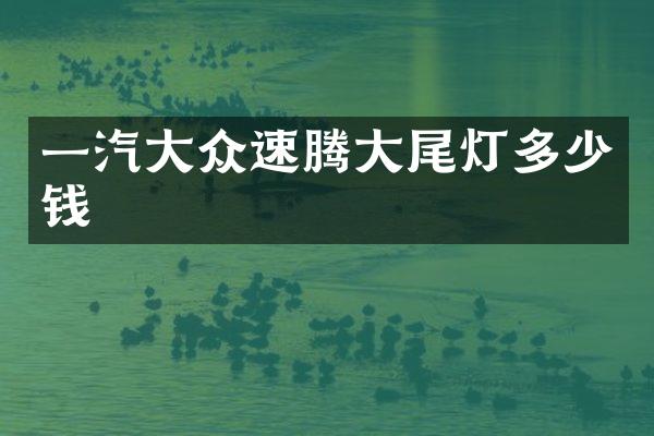 一汽大众速腾大尾灯多少钱