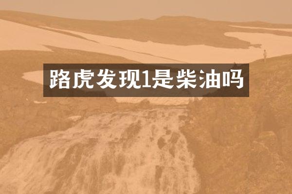 路虎发现1是柴油吗