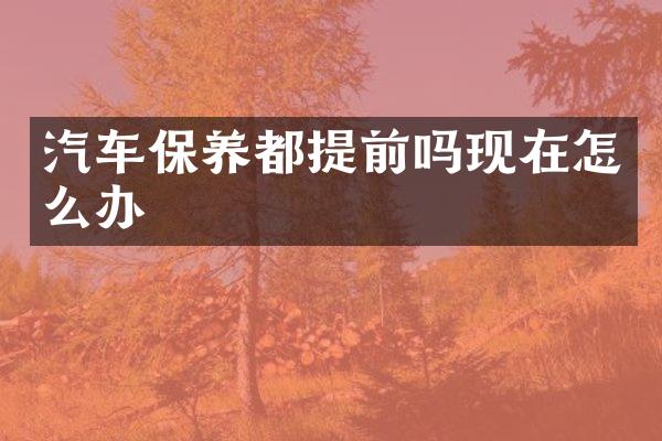 汽车保养都提前吗现在怎么办