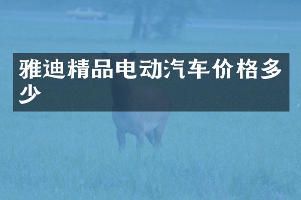 雅迪精品电动汽车价格多少