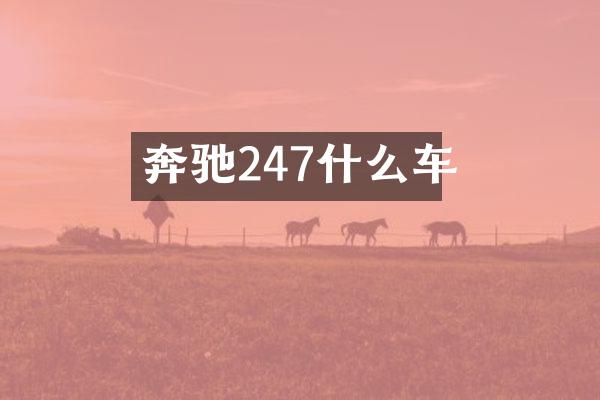 奔驰247什么车