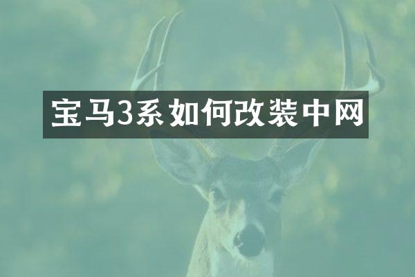 宝马3系如何改装中网