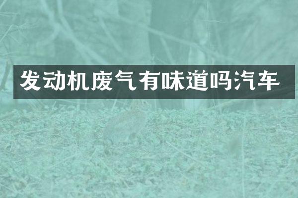 发动机废气有味道吗汽车