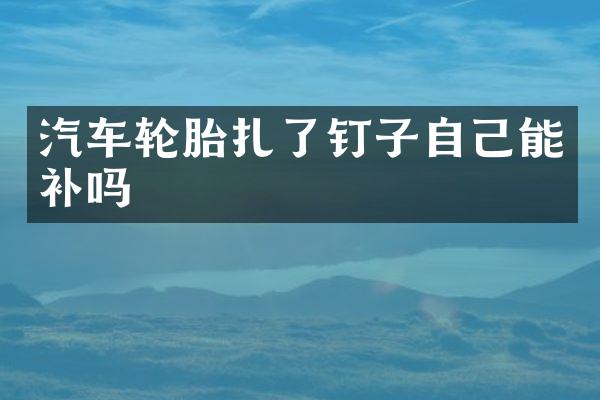 汽车轮胎扎了钉子自己能补吗