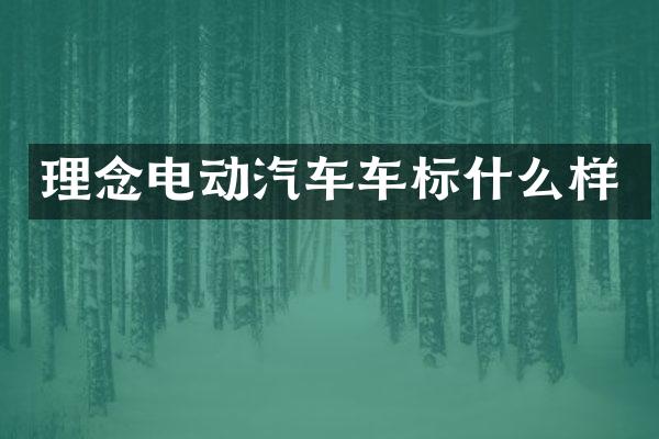 理念电动汽车车标什么样