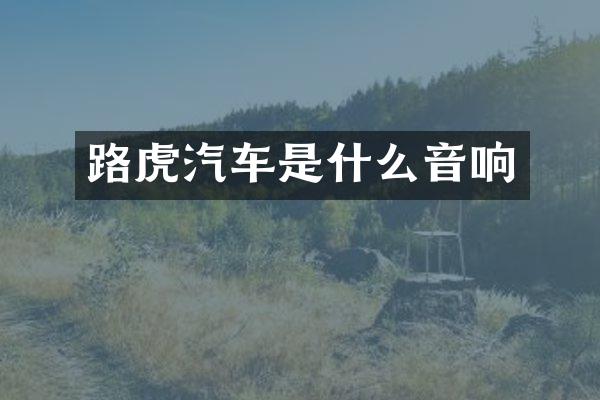 路虎汽车是什么音响