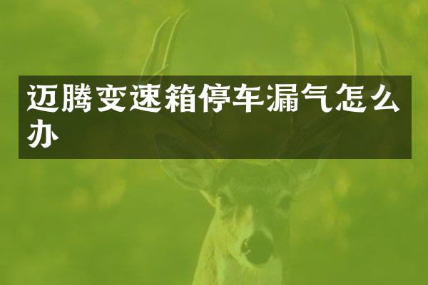 迈腾变速箱停车漏气怎么办
